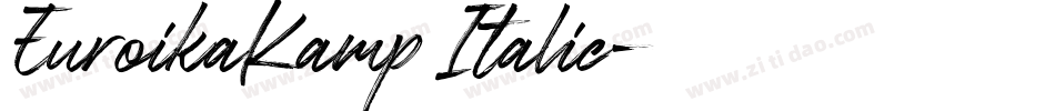 EuroikaKamp Italic字体转换